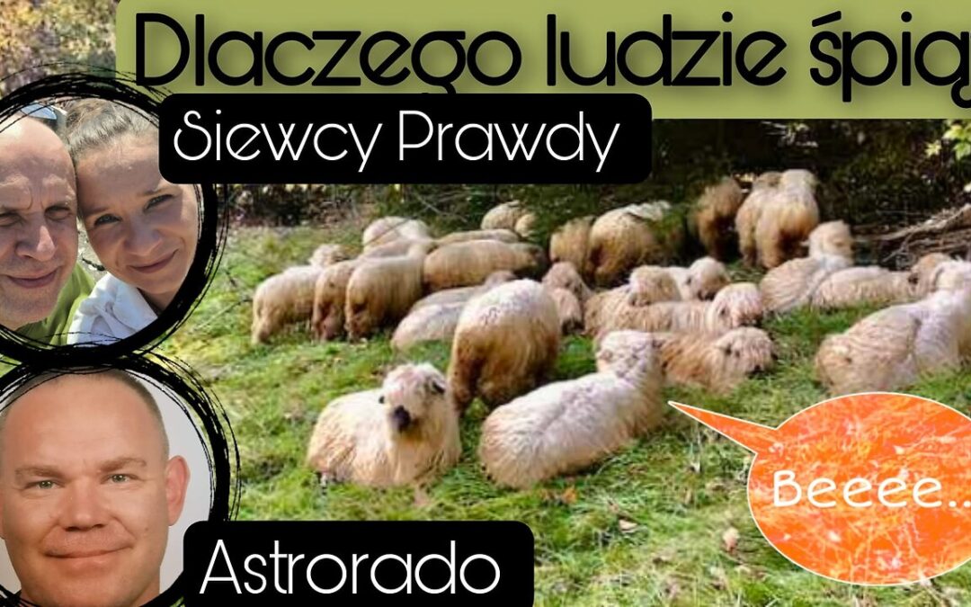 Dlaczego ludzie śpią?