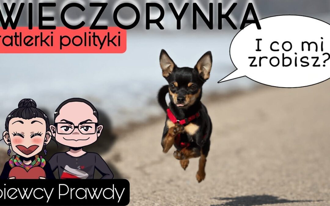 Wieczorynka – Ratlerki polityki start 20.00