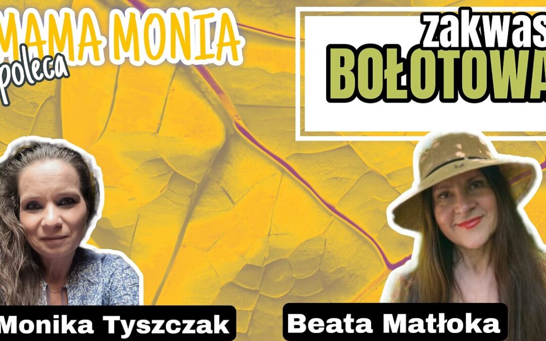 Mama Monia poleca: Zakwas Bołotowa – Beata Matłoka start 12.00